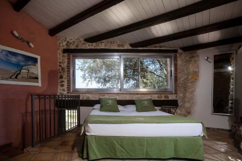 616suiteyuniorrobba-delgi-ulivi-55